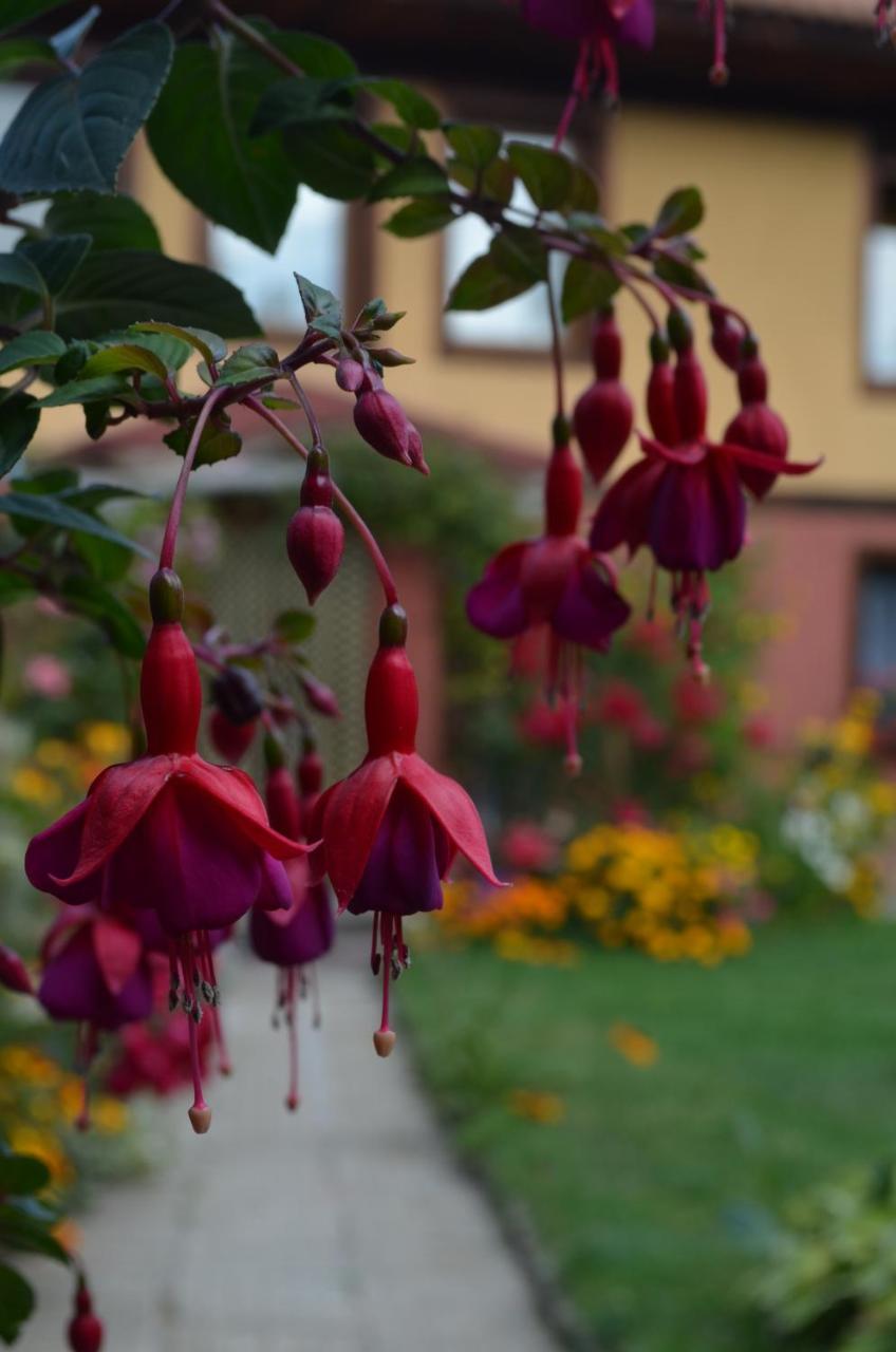 Guest House Zlatniyat Telets Koprivștița Exterior foto